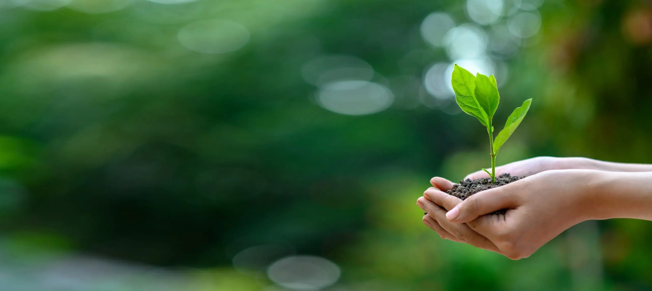 piantala-trescal-scaled