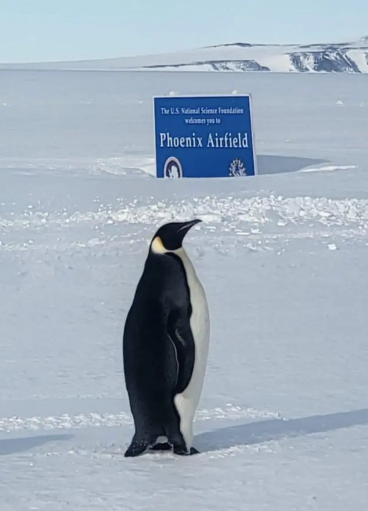 Antarctica Calibration